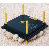Comfort Chick/Brooder Chickplate Heating Plate 22 Watts 30cm x 30cm