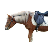 Grass Daisy Side Rein Strap Anti-Grazing Stop Pony Pulling Down Pvc  