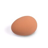 Nesting Artificial Egg Rubber 65g - Brown