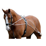 Horse Lunge Training System Aid Equvi To Pessoa Develop Top Line 