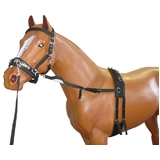 Horse Training Lunge Kit 6 Piece One Size Fits All