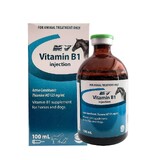 Nature Vet Vitamin B1 Supplement Horse Racing 100ml