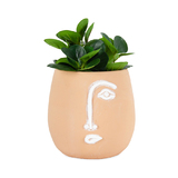 Elegant Pablo Coral Pot Planter 20cm x 20cm