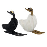 Pair Of Fluffy Aspen Skiing Duck Handcrafted Ornament with Feathers 