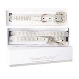 Rhinestone Pet COLLAR And LEAD Luxury Stylish Glitter Set SILVER