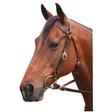 Showcraft Barcoo Brown 3/4" Brass Bridle With Reins Pony/Cob/Full