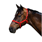 Eureka - Buckle Halter Red Shetland-Full