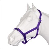 Eureka - Buckle Halter Purple Shetland-Full