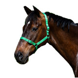 Eureka - Buckle Halter Green Pony-Full