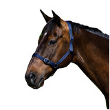 Eureka - Buckle Halter Navy Pony-Full