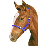 Foal/Mini PVC Headstall Halter Headcollar Various Colours