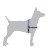 BlackDog Wear Black Dog Balance Harness Dog Training Mini - Xlarge 6 Colours 