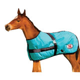 Thermo Master Growing Foal Rug Teal or Navy 28 to 40in