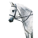 Market Harborough Martingale Training Schooling Lunge Full Size Black Or Brown