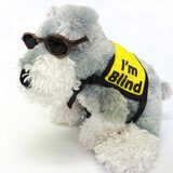 BlackDog Wear Black Dog Awareness Vest - I'm Blind- Xsmall-Large