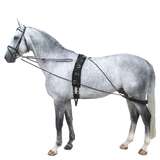 Horse Lunge Training System Aid Develops Top Line Cob/Pony