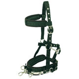 Equi Prene Horse Lunge Cavesson Halter Metal on Nose and Padded Full