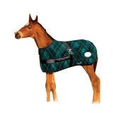 Thermo Master Growing Foal Rug Emerald Green Fit 28 to 40in