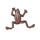 Mr Gecko Cast Iron Cute Handcrafted Frog Antique Rust Decor Figurine Statue
